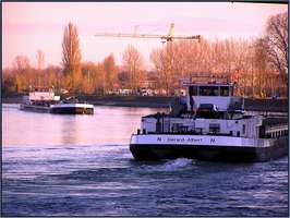 Bilder - Best of 2004 - rhein-schiff-speyer