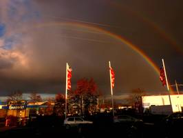 Bilder - Best of 2011 - rainbow-real