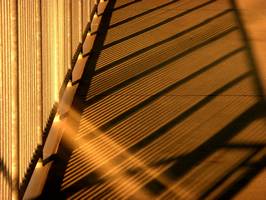 Bilder - Best of 2012 - golden-stripes