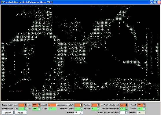 Pixel-Evolution - Beute-Strukturen